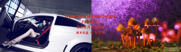 прущие грибы Краснотурьинск