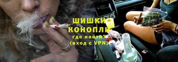 прущие грибы Краснотурьинск