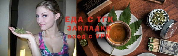 прущие грибы Краснотурьинск