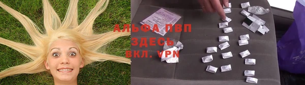 стаф Краснослободск