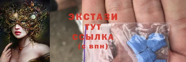 стаф Краснослободск