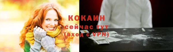прущие грибы Краснотурьинск