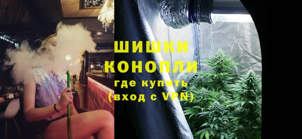 стаф Краснослободск