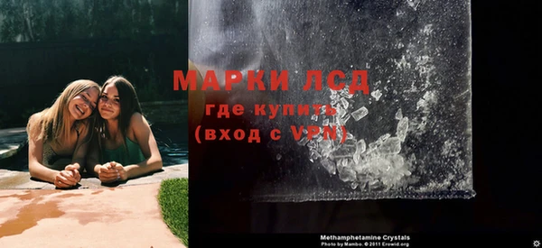 прущие грибы Краснотурьинск