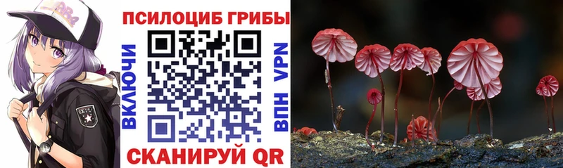 Галлюциногенные грибы Cubensis  ссылка на мегу рабочий сайт  Псков  купить  цена 