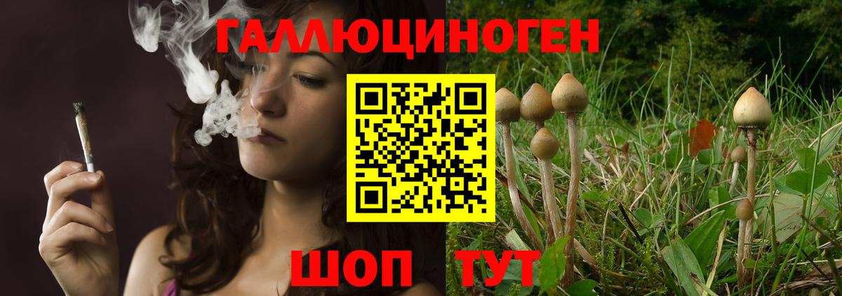 Галлюциногенные грибы мицелий  Вход с VPN  Псков 